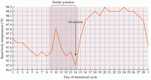 ovulation-temperature-tracking